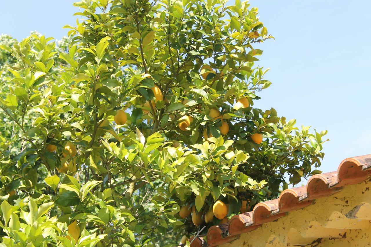 Bed and Breakfast Quinta Do Outeiro Вила-Нова-ди-Пояриш Экстерьер фото